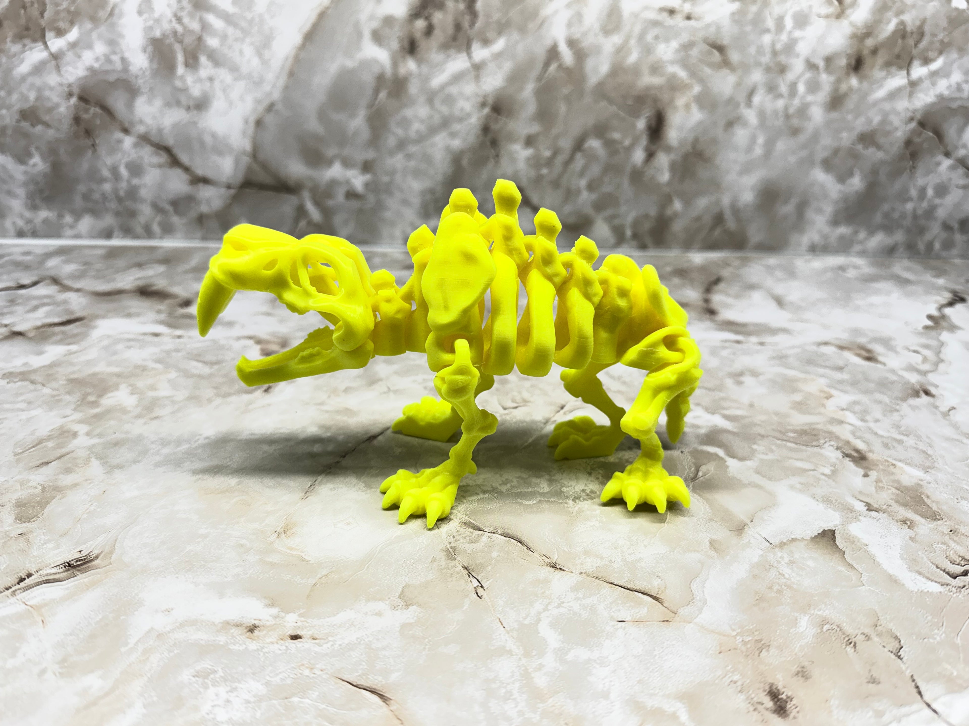 Skeleton Sabertooth Tiger